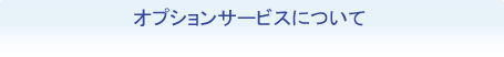 オプションサービスについて